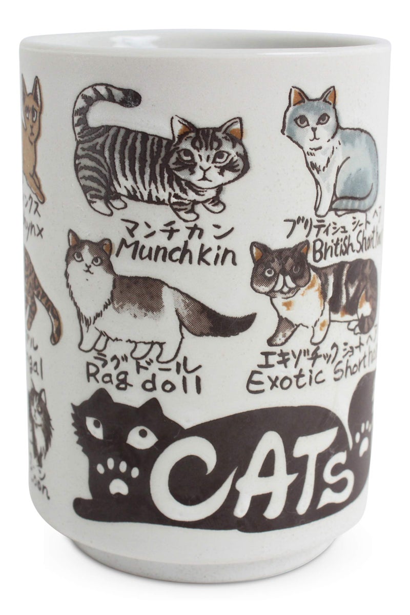 Mino ware Japanese Ceramics Sushi Yunomi Chawan Tea Cup Various Cats made in Japan (Japan Import) YAY050 - Image 1